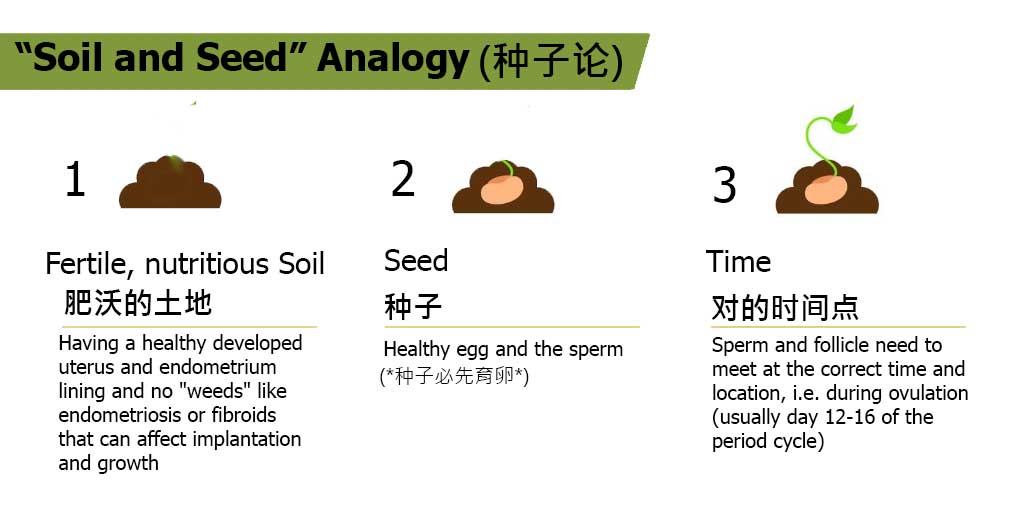 TCM Fertility Treatment